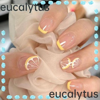 Eucalytus1 เล็บปลอม DIY สไตล์ฝรั่งเศส 24 ชิ้น