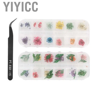 Yiyicc 12 Colors Nail Dried Flowers Art Flower Dry