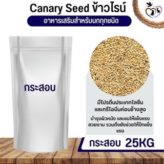 ข้าวไรน์ Canary seed อาหารนก กระต่าย หนู กระต่าย กระรอก ชูก้า (25KG)