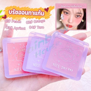 R.H. บลัชออน บลัชออนโทนส้ม บรัชออนทาแก้ม เนื้อดี สีสวย ติดทน blush