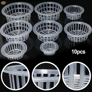 【VARSTR】Planting Baske Plastic Hydroponic Aquarium Insert Mesh Pot Net Cloning Basket