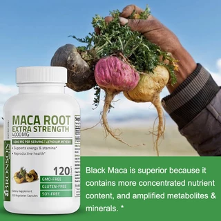 สูตร Maca Root ประสิทธิภาพสูงจากธรรมชาติเพื่อสนับสนุนความแข็งแรง พลังงาน และสุขภาพสำหรับผู้ชายและผู้หญิง
