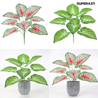 [sr Flower] ดอกไม้ประดิษฐ์ ใบอโลคาเซีย พลาสติก สําหรับตกแต่งบ้าน 1 ชิ้น