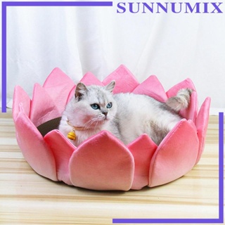 [Sunnimix] แผ่นข่วนเล็บแมว รูปบัวบัว 16.5x6.7 นิ้ว น่ารัก สําหรับแมว