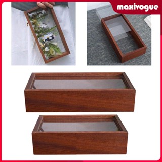 [Maxivogue] กรอบรูปดอกไม้แห้ง แบบใส สําหรับตกแต่งโต๊ะ DIY