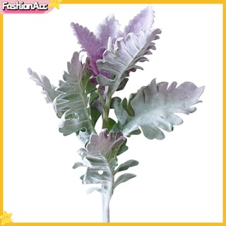 ฟา|  Senecio Cineraria พืชปลอม พร็อพถ่ายรูป DIY สําหรับตกแต่งบ้าน ออฟฟิศ 1 ชิ้น