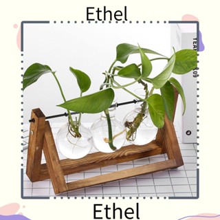 ETHEL1 แจกันไม้ไฮโดรโปนิก สไตล์วินเทจ สําหรับปลูกต้นไม้ บอนไซ