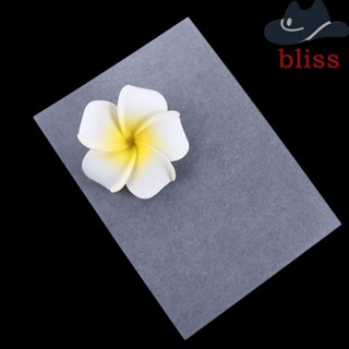 Bliss แผ่นฟิล์มพลาสติก หดได้ DIY สําหรับทําเครื่องประดับ 5 ชิ้น