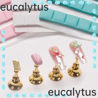 Eucalytus1 ดินเหนียว สําหรับตกแต่งเล็บ ใช้ซ้ําได้