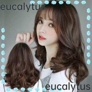 Eucalytus1 วิกผมผู้หญิง เสริมความงาม เครื่องมือจัดแต่งทรงผม