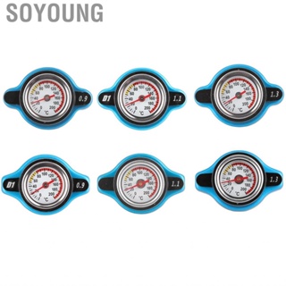 Soyoung Universal Thermostatic Radiator Cap Water Tank Cover Leakproof W/Temperature Gauge