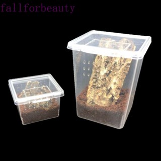 Fallforbeauty กล่องให้อาหารแมลง แบบพลาสติกใส ทนทาน สําหรับสัตว์เลื้อยคลาน