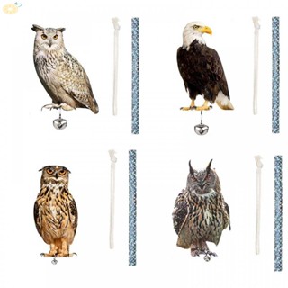 【VARSTR】Bird Scarer Bird Control Devices Outdoor Decoration Owl Decor Owl Scare