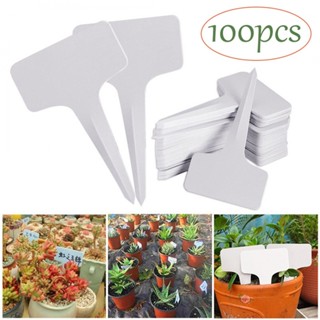 Garden Labels Plastic 100PCS 6x10cm Gardening Plant Classification Accessories