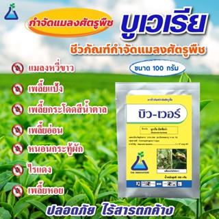 บูเวเรีย บัสเซียน่า ขนาด 100 กรัม ผสมน้ำได้ 20-40 ลิตร ยี่ห้อบิวเวอร์ บิวเวอร์เรีย ชีวภัณฑ์กำจัดแมลง Beauveria bassiana