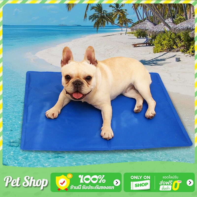 Pet Cool mat แผ่นเจลเย็นสุนัข ที่นอนเจลเย็น สำหรับตว์เลี้ยง แบบหนา เย็นสบาย แผ่นเจลเย็น ที่นอนเย็น แผ่นทำความเย็น