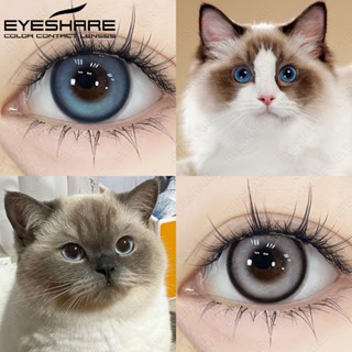 Eyeshare คอนแทคเลนส์ สีน้ําตาล สีเทา สําหรับดวงตาตุ๊กตา 1 คู่