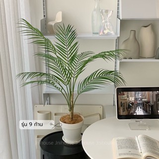 [พร้อมส่ง] ต้นปาล์มปลอม สูง 75 cm (Artificial tree)