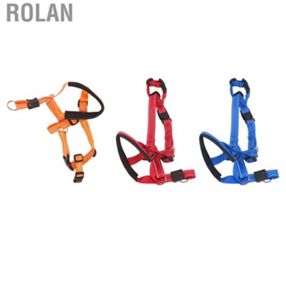 Rolan Dog Head Harness  Practical Breathable Dog Head Collar  for Outdoor