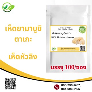 Popaya herb yamabushitake เห็ดหัวลิง ยามาบูชิตาเกะ ผงเเท้ 100% บรรจุ 100 เม็ด