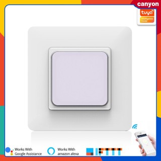 Wifi Smart Button Switch Rgb Night Vision Scene Light Switch Timing Function การควบคุมแอพสมาร์ทโฟน หุบเขาลึกควบคุมเสียงอัจฉริยะ