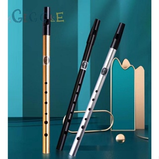 ⭐READY STOCK ⭐ABS and Metal Irish Whistle Flute in C/D Key Sensitive Tuning for Balanced Notes