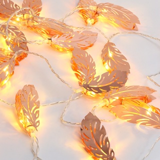 Daily U LED Fairy String Light สำหรับห้องนอนสนามหญ้าภูมิทัศน์สวนตกแต่งบ้านในวันหยุด