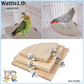 Wttle แพลตฟอร์มขาตั้ง อุปกรณ์นก กรงไม้แขวน สําหรับหนูแฮมสเตอร์