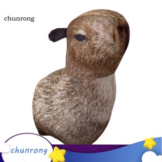 Chunrong capybara ตุ๊กตายัดไส้ รูปสัตว์น่ารัก ให้ความอบอุ่น นุ่ม สบาย ขนาดพอดี 9 นิ้ว