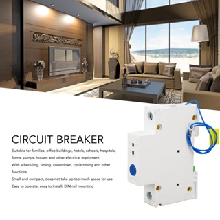 Rhythm000 1P 230V Circuit Breaker APP รีโมทคอนโทรล DIN Rail Pa66 สวิตช์อัจฉริยะ 2.4GHz WIFI