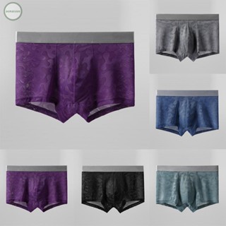 GORGEOUS~Premium Lace Sheer Boxer Briefs for Men – Experience Unmatched Style and Support