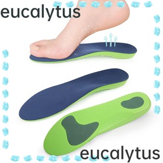 Eucalytus1 แผ่นรองพื้นรองเท้า สีฟ้า คุณภาพสูง สําหรับรองเท้าส้นสูง XL