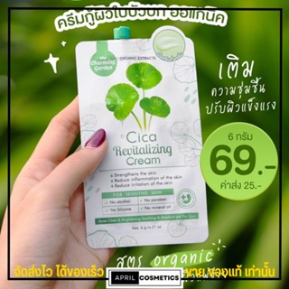 ครีมใบบัวบก [แบบซอง] Cica Cream ครีม ใบบัวบก ครีมกู้ผิว สูตร ออแกนิก ผิวแพ้ง่าย ซ่อมผิว ชามมิ่ง ซิก้า ครีมกู้ผิวใบบัวบก