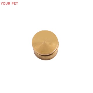 Your ตลับลูกปืน ขนาดเล็ก สําหรับตกแต่งเล็บ PET