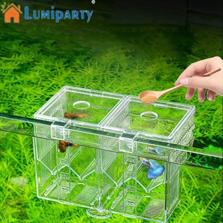 Lumiparty ตู้ปลา อะคริลิคใส ขนาดเล็ก พร้อมช่องแบ่ง ถอดออกได้ สําหรับกุ้ง ปลา