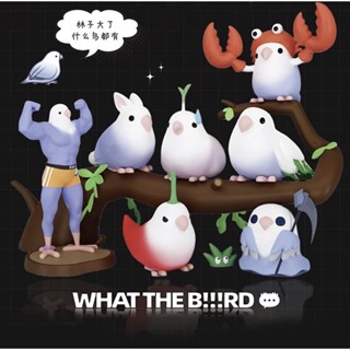 ของแท้ ฟิกเกอร์ รูปนก Taro Balls What Bird Things Series Mystery Box Influencer Emoticon สําหรับของขวัญ