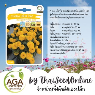 AGAPREMIUM ดาวเรืองปรินซ์ โกลด์ เมล็ดดาวเรือง 15เมล็ด ตราเอกะอะโกร Marigold