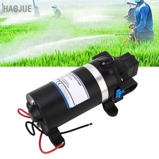 HaoJue 160PSI ไดอะแฟรมแรงดันสูงปั๊มน้ำบูสเตอร์ปั๊ม 5.1LPM 3 Meter Discharge Lift DC12V