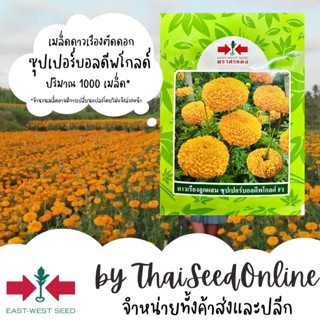 EWCOM 1000เมล็ด เมล็ดพันธุ์ ดาวเรืองตัดดอก ซุปเปอร์บอลดีพโกลด์ ตราศรแดง เมล็ดดอกไม้