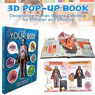 【CL】หนังสือวิทยาศาสตร์โครงสร้างร่างกายมนุษย์ 3d เสริมการเรียนรู้เด็ก