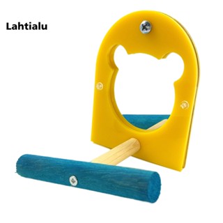 Lahtialu ของเล่นนกแก้ว อะคริลิค กระจกยืน สําหรับนกแก้ว