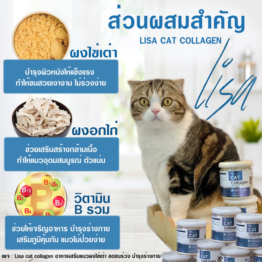 โปรของแถม+ส่งฟรี #ผงโปรตีนแมว แท้100% #Lisa Cat Collagen #ผงโรยอาหารสำหรับน้องแมว ขนสวยสุขภาพแข็งแรง - รูปที่ 3