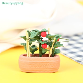 [Beautyupyang] โมเดลมะเขือเทศจิ๋ว 1:12 สําหรับตกแต่งบ้านตุ๊กตา