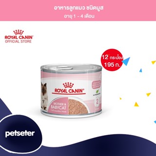 Royal Canin Starter Mother &amp; Baby Cat Can Tray อาหารเปียกแม่แมวตั้งท้อง-ให้นม และ ลูกแมว อายุต่ำกว่า 4 เดือน  x 12