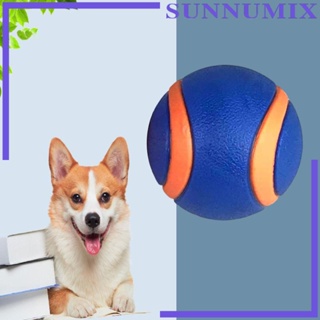 [Sunnimix] ของเล่นลูกบอลเคี้ยว ขนาดใหญ่ สําหรับฝึกสัตว์เลี้ยง สุนัข