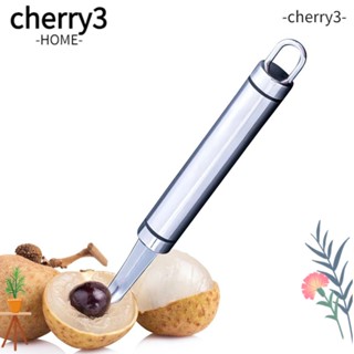 Cherry3 ที่เจาะแกนลิ้นจี่ ลําไย สเตนเลส ทนทาน สีแดง สําหรับผัก ผลไม้ 2 ชิ้น