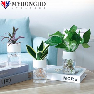 Myronghd แจกันพืชไฮโดรโปนิก ทรงกลม สําหรับปลูกต้นไม้ 2 ชิ้น