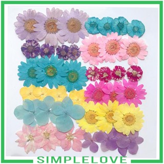 [Simple] อุปกรณ์ตกแต่งเล็บ ดอกไม้แห้งธรรมชาติ DIY 36 ชิ้น