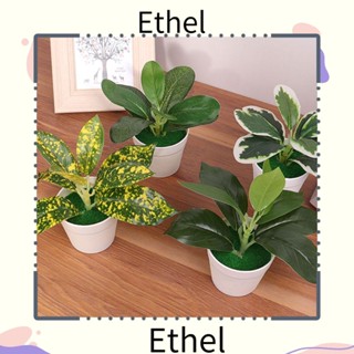 Ethel1 ต้นบอนไซจําลอง สําหรับตกแต่งบ้าน