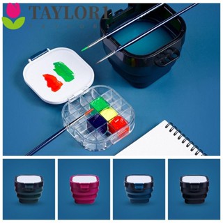 Taylor1 กล่องเก็บสีน้ํามันอะคริลิค แบบพับได้ ทนทาน สําหรับเครื่องเขียน